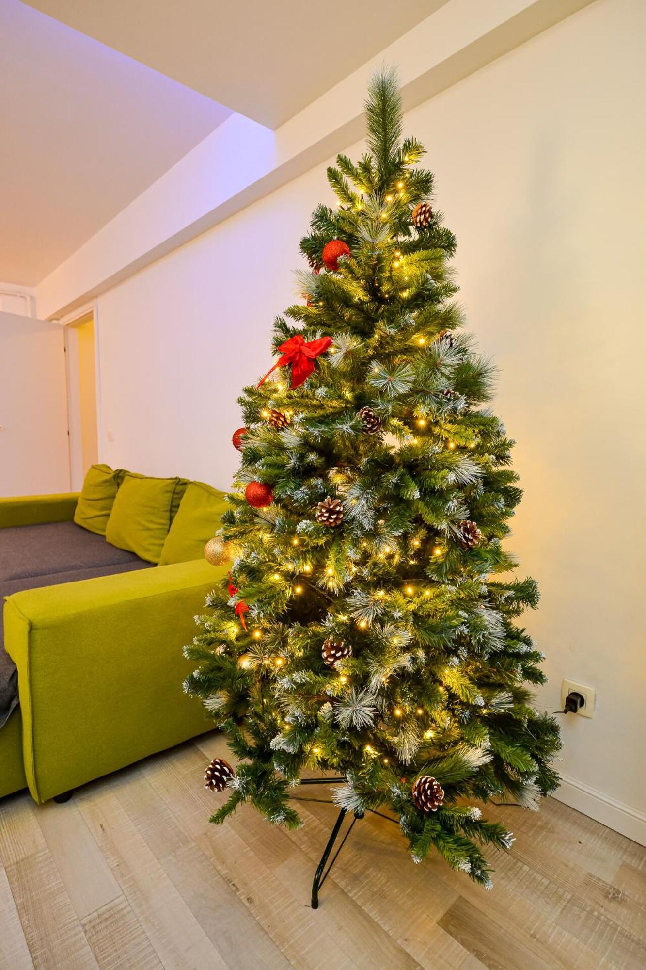 Adam And Eve Luxury - Shabbat Friendly Apartament Bucureşti